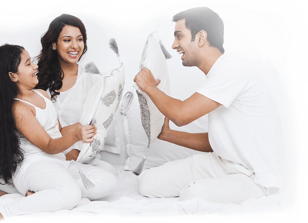 Healthy Home Paints Nerolac Healthy Home Paints