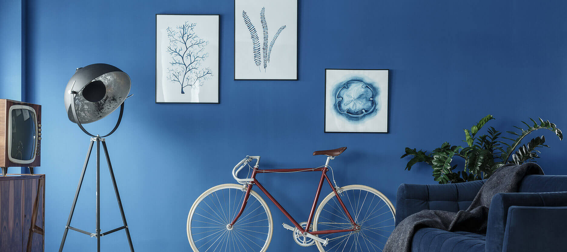 5 Shades of Blue colours to Enhance Your Home Décor  5 Shades of Blue colours to Enhance Your Home Décor