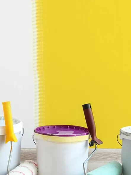 How to Choose the Best Wall Painter for Your Home 